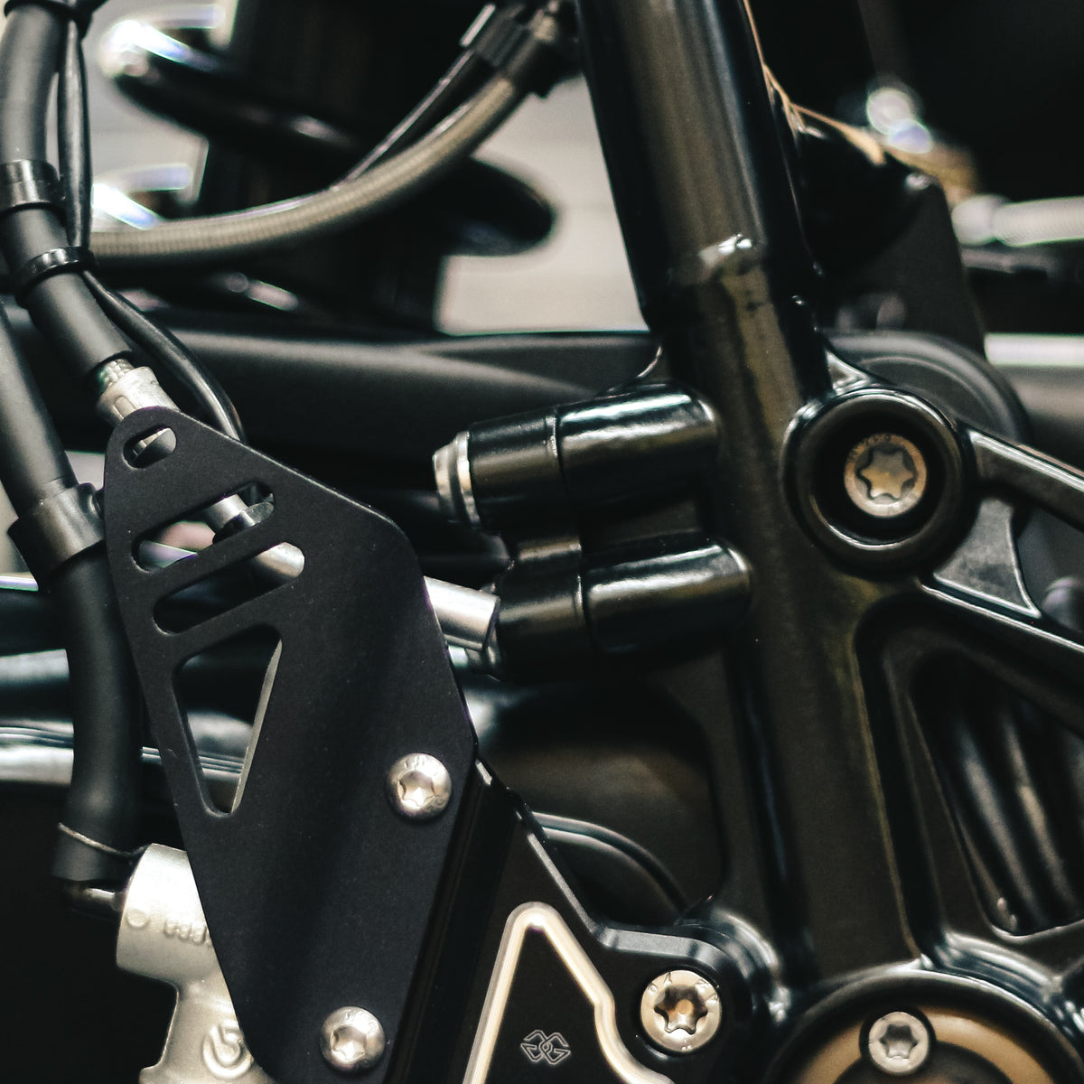 Pcc Frame BMW Motorrad R9T Series Pillion Frame Delete Cover – Pier City Custom