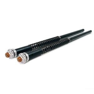 Andreani R12 Series Fork Cartridges