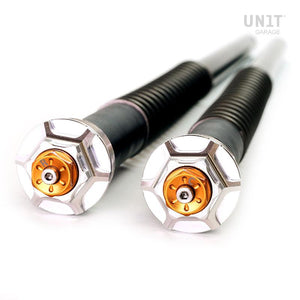 Andreani R9T Series Fork Cartridges Roadster