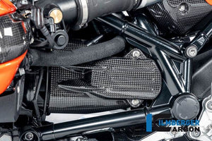 Ilmberger R12 nineT Gloss Carbon Starter Cover