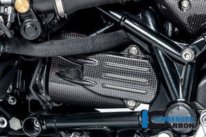 Ilmberger R12 nineT Gloss Carbon Starter Cover