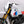 Tanque de combustible Unit Garage R12 Series Dakar - PRE-ORDEN