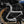 Wunderlich BMW R9T Engine Protection Bars - Stainless Steel