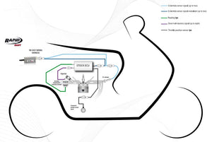 Rapid Bike EASY Fuelling Control Module