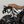 Load image into Gallery viewer, SW Motech BMW R9T SLC Right Side Carrier
