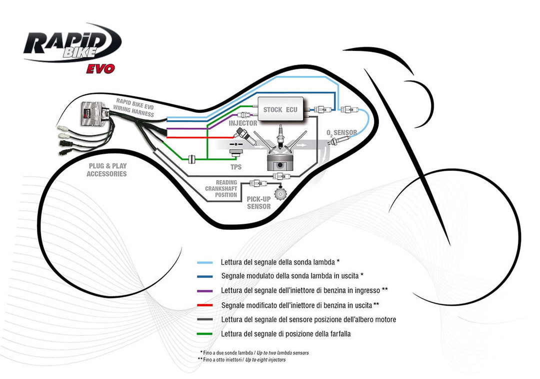 Rapid Bike EVO Fuelling Control Module – Pier City Custom