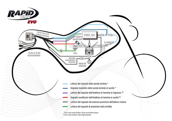 Rapid Bike EVO Fuelling Control Module
